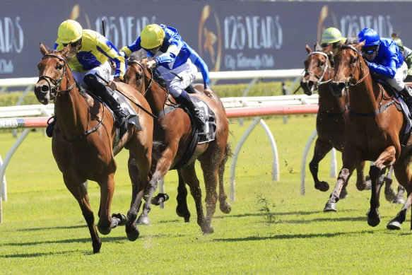 Beginner’s Guide to the Most Popular Horse Racing Betting Sites